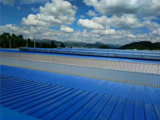 大型輕鋼結(jié)構(gòu)廠房